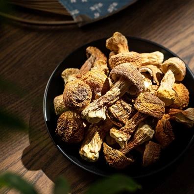 The game with our new additions!